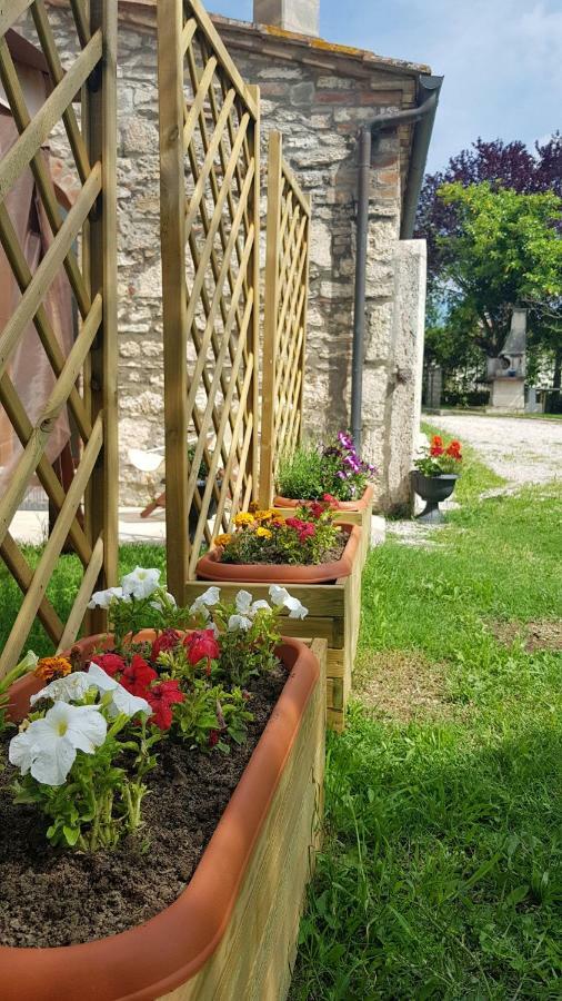 San Paterno B&B Rapolano Terme Buitenkant foto