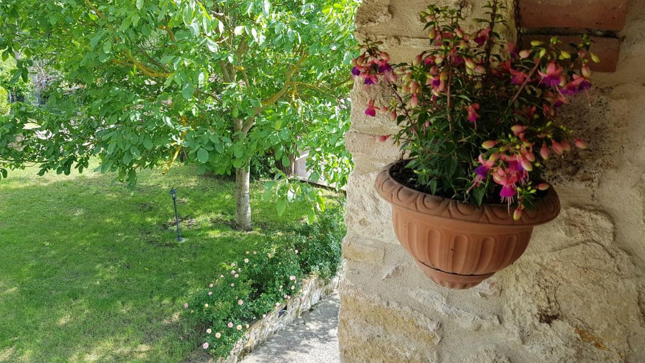 San Paterno B&B Rapolano Terme Buitenkant foto