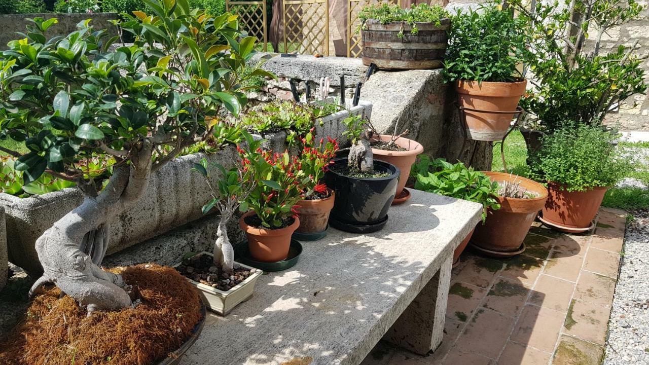 San Paterno B&B Rapolano Terme Buitenkant foto